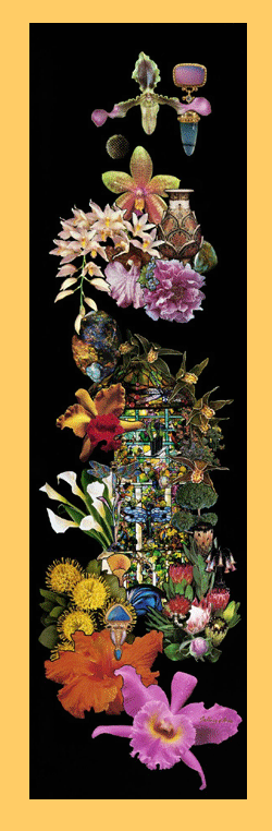 Click On Image To See A Larger View