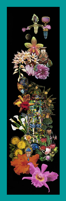 Click On Image To See A Larger View