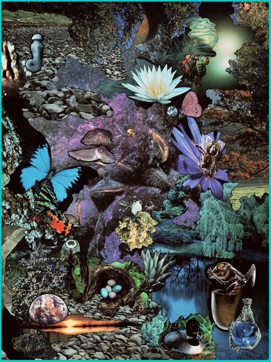 Embryonic Transformation