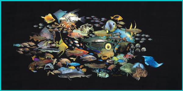 Click On Image To See A Larger View