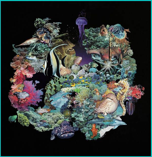 Click On Image To See A Larger View