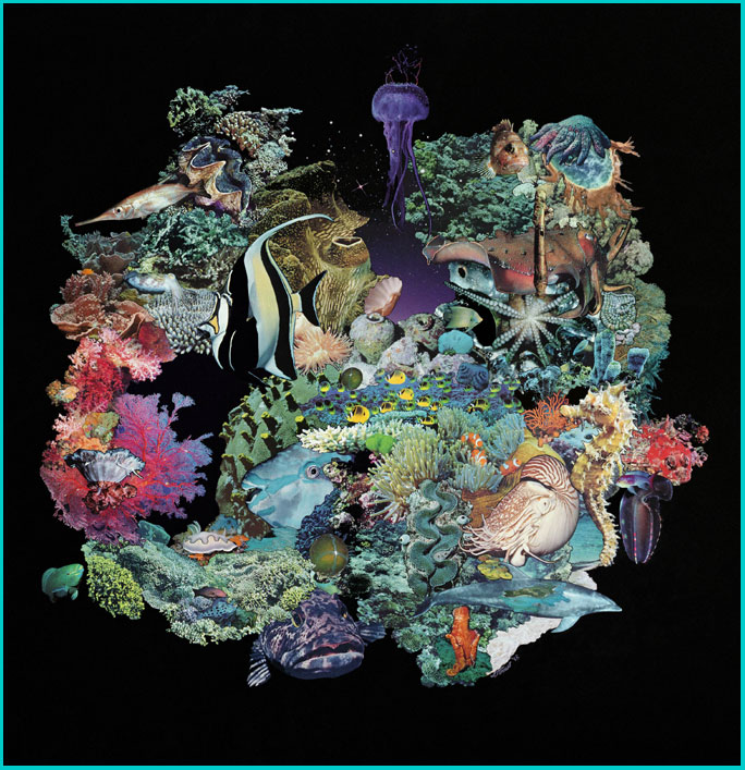 Reef Magic