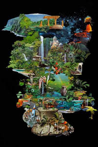 Click On Image To See A Larger View